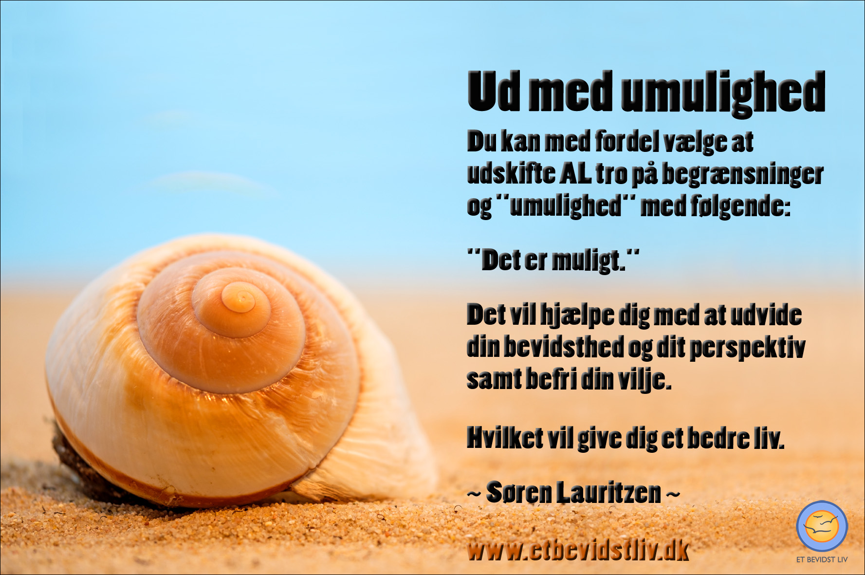 Foto: Orangegult sneglehus på sandstrand. Tekst: Du kan med fordel vælge et mindset som siger "Det er muligt." (Søren Lauritzen)