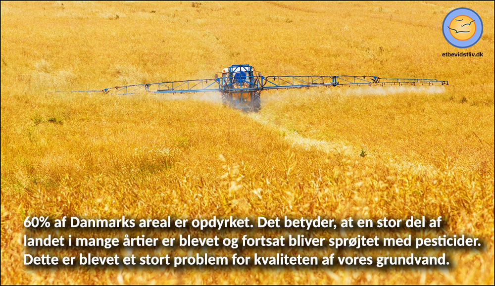 Sprøjtning med pesticider i det danske landbrug er et stort problem i forhold til rent drikkevand. Foto af traktor, der sprøjter pesticider på mark.
