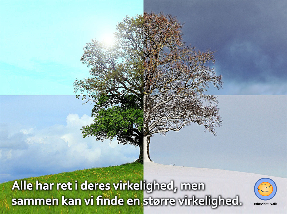 Alle har ret i deres virkelighed, men sammen kan vi finde en større virkelighed. Foto af træ i de fire årstider. 
