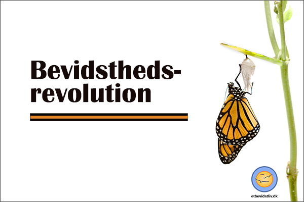 Skab din egen bevidsthedsrevolution. Foto af en sommerfugl, der forlader sin pubbe. 